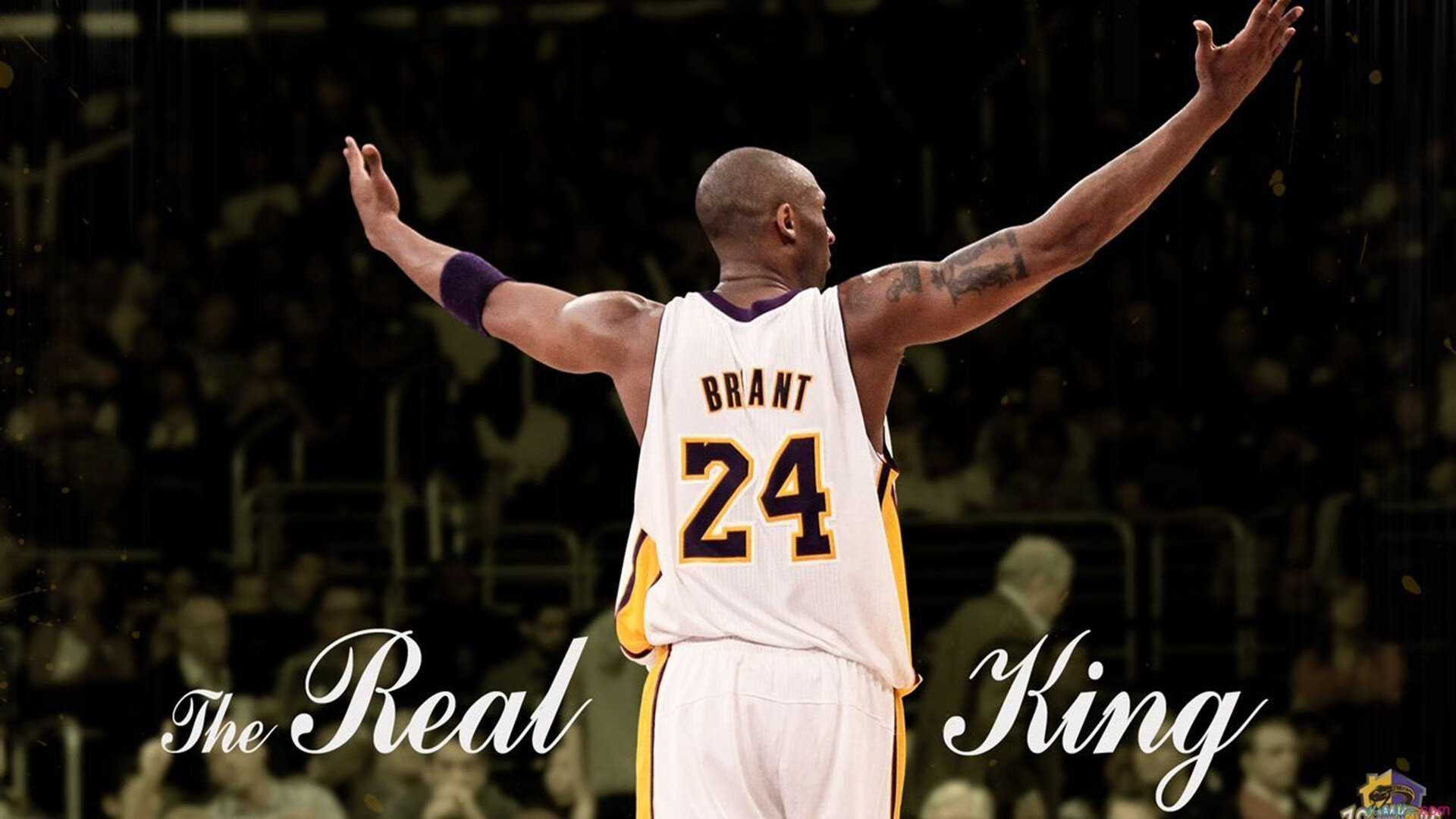 决赛赛况：李冰洁泳姿流畅节奏精准，李冰洁游泳视频