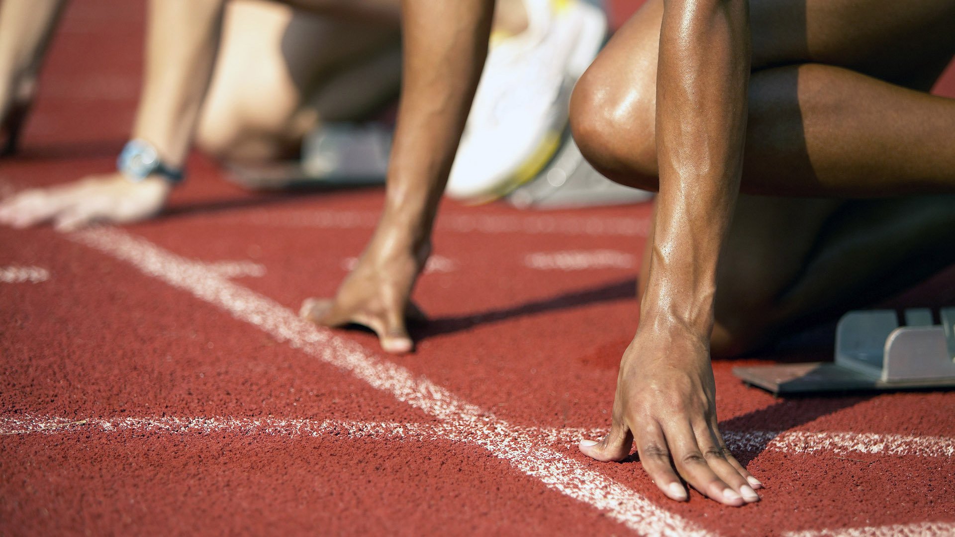 篮球专业课程纳入高校通识选修扩大受众基础，篮球学科